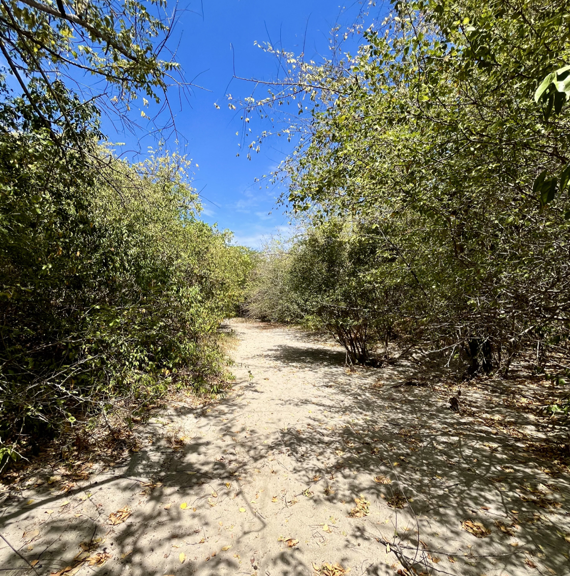 Caminata por el Valle de los Xilópalos
