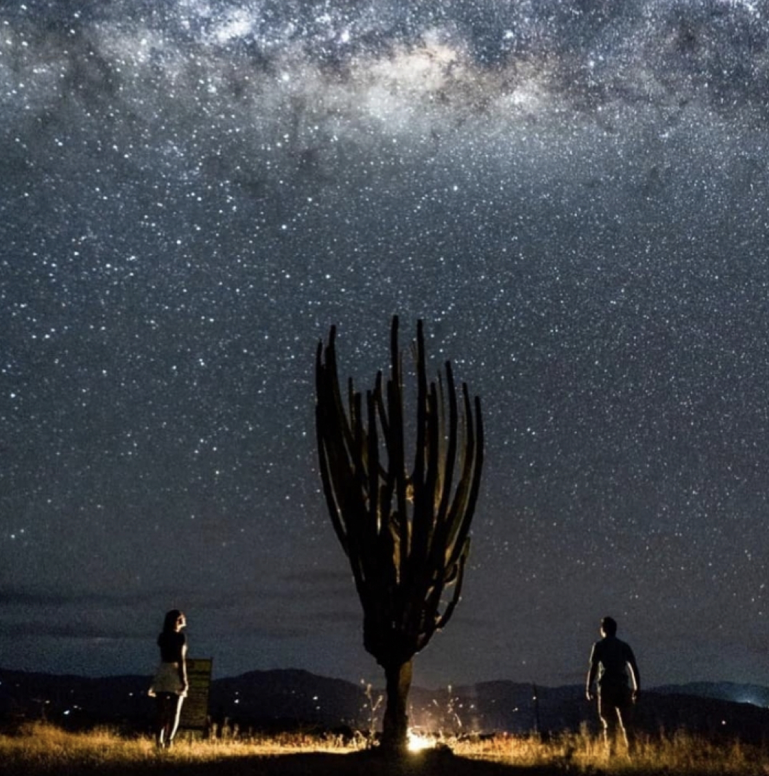 Cerveza y Estrellas: Noches alrededor de la fogata